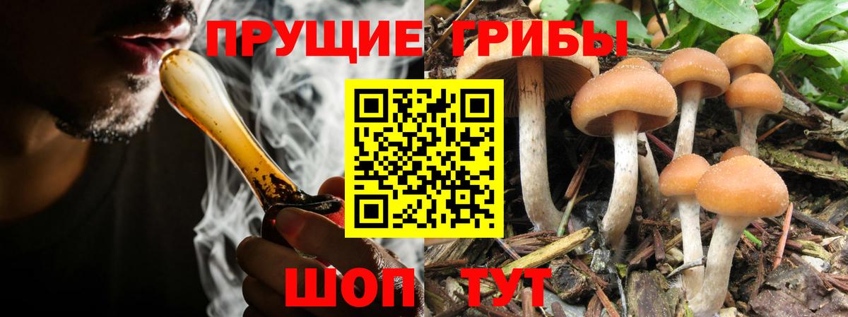 Галлюциногенные грибы Magic Shrooms  Вход с VPN  Сургут 