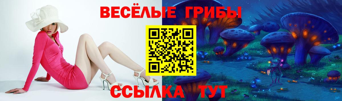Галлюциногенные грибы MAGIC MUSHROOMS Сургут